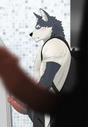 anthro backpack black_nose blue_eyes blush blush_lines bodily_fluids bottomwear canid canine canis clothing domestic_dog erection foreground_silhouette genitals hi_res humanoid_genitalia husky kemono looking_at_another male male/male mammal nagick_18 nordic_sled_dog pants penis pointy_ears shirt side_eye solo_focus spitz sweat sweatdrop t-shirt throbbing throbbing_penis topwear urinal urinal_peeking
