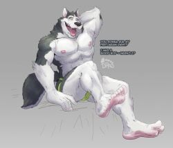 5_toes anthro blue_eyes canid canine canis clothed clothing dialogue domestic_dog drewfsfeet english_text feet fur grey_background grey_body grey_fur hand_behind_head humanoid_feet husky male mammal muscular muscular_anthro muscular_male nervous nipples nordic_sled_dog one_eye_closed open_mouth pecs plantigrade simple_background sitting solo spencer_(extracurricular_activities) spitz text toes tongue underwear underwear_only white_body white_fur