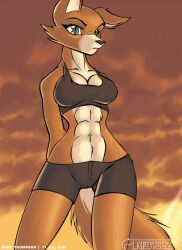 1female 2006 abs anthro background brutal_paws_of_fury clothing color female female_only foxy_roxy solo tagme tailsrulz vulpine