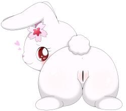 2023 absurd_res accessory anthro ass azuo blush censored female flower flower_in_hair fur genitals hair hair_accessory heart hi_res jewelpet lagomorph leporid looking_at_viewer looking_back looking_back_at_viewer mammal plant presenting presenting_pussy pussy rabbit rear_view red_eyes ruby_(jewelpet) sanrio simple_background solo white_background white_body white_fur