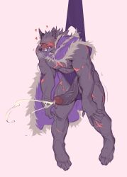 2023 abs anthro balls barazoku biceps big_penis blaidd_(elden_ring) blush canid canine canis claws cloak dark_fur elden_ring erection fromsoftware fur furry gay grey_body grey_fur hairy harryharold hi_res highres humanoid_genitalia humanoid_penis male male_focus male_nipples male_only mammal manly muscles muscular muscular_anthro muscular_arms muscular_legs muscular_male muscular_thighs nude penis scars_all_over solo solo_male vein veiny_penis wedgie wedgied_male wolf