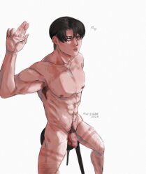 1boy armpit_hair attack_on_titan completely_nude flaccid funjidae happy_trail levi_ackerman looking_at_viewer male male_only muscular_male nude_male penis pubic_hair shingeki_no_kyojin solo solo_male