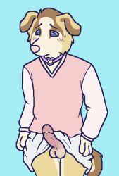 2016 aliasing anthro balls bird_dog blue_(bluekyokitty) blue_background blue_eyes bluekyokitty blush bodily_fluids bottomwear brown_body brown_fur canid canine canis choker chow_chow clothed clothing digital_drawing_(artwork) digital_media_(artwork) domestic_dog dress erection erection_under_skirt eyebrows flat_colors floppy_ears fur genitals golden_retriever grey_sclera half-length_portrait hand_on_hip humanoid_genitalia humanoid_penis hunting_dog jewelry male male_only mammal mixed_breed necklace no_underwear penis pink_blush pink_clothing pink_dress pink_nose portrait retriever sebdoggo simple_background skirt solo solo_male spitz standing sweat sweatdrop tail tan_body tan_fur