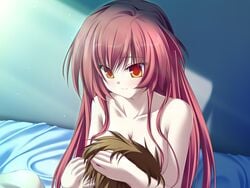 cg eroge game_cg magus_tale sara_finis_victoria tagme whirlpool