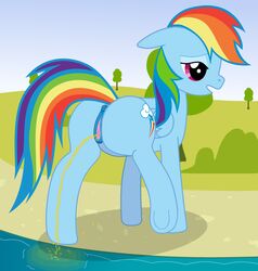 2015 animal_genitalia anus ass clitoris cutie_mark dark_genitals equine female feral friendship_is_magic hair hi_res mammal my_little_pony nervous open_mouth peeing peeing_in_water pegasus pussy rainbow_dash_(mlp) raised_leg solo underhoof urine watersports wings yellowhorse_(artist)