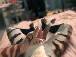 3d_(artwork) animal_genitalia anthro blender_(software) clothing digital_media_(artwork) felid feline_genitalia genitals legwear male mammal pantherine photo socks solo tiger tygrysiolowek