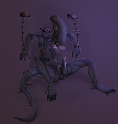 alien_(franchise) black_body black_exoskeleton chained chained_ankles chained_cuffs chained_tail chained_to_wall chained_up chained_wrists chains claws drooling genital_slit male male_only male_xenomorph monster no_eyes precum precum_drip precum_on_penis restrained restrained_to_wall ridged_penis submissive_male tapering_penis teeth teratophilia unusual_anatomy unusual_genitalia unusual_penis visible_breath xenomorph xenophilia