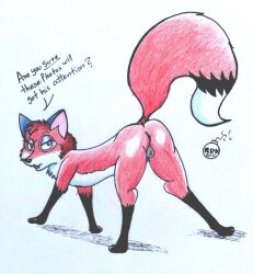 animal_genitalia dusk_(faux_pas) faux_pas feral fox red_fox reddragonkan vulpine