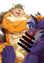 2boys abs absurd_res anthro balls bara barrel_(live_a_hero) blue_body blue_fur blush brown_body brown_fur canid canine canis crossover curled_tongue duo erection fellatio fur gay genitals hi_res homohomofever lifewonders live_a_hero long_tongue male male/male male_only mammal muscular muscular_anthro muscular_male nude oral pecs penile penis sex tindalos_(tokyo_afterschool_summoners) tokyo_afterschool_summoners tongue wolf yaoi