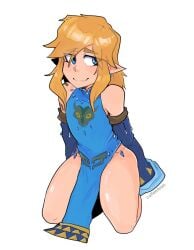 1boy blonde blue_dress clothed coffeetears femboy frostbite_link hylian link link_(tears_of_the_kingdom) male_focus male_only tagme tears_of_the_kingdom the_legend_of_zelda thighs