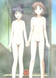 2girls breasts brown_eyes brown_hair cactus chitose_midori green_green hairless_pussy holding_hands hot_spring light-skinned_female multiple_girls naked naked_female nipples nude nude_female onsen pubic_hair pussy screencap screenshot small_breasts smaller_female steam stitched tied_hair trimmed_pubic_hair uncensored unshaved_pussy