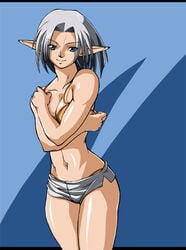 artist_request bra elf elvaan female female_only final_fantasy final_fantasy_xi lingerie pointy_ears silver_hair solo underwear