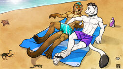 5_toes abs beach biceps blue_eyes blue_hair blush brown_fur bulge clothing collar couple dark_hair duo embarrassed fur furry furry_only gay hair handjob male muscles mustelid nipples no_humans otter pecs pose sand seaside shorts swimsuit toes topless towel tsaiwolf white_fur