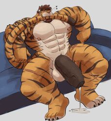 anthro balls bara barazoku big_balls big_penis cum cum_dripping furry huge_cock male male_only muscles muscular orange_fur penis scars sitting solo solo_male spread_legs striped_panties tail tail_in_mouth tiger vitashi