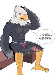 accipitrid accipitriform animal_crossing anthro apollo_(animal_crossing) avian bald_eagle balls beak bird blush bodily_fluids cabarts clothing eagle english_text erection feathers genital_fluids genitals hi_res jockstrap male muscular nintendo penis precum sea_eagle sitting solo speech_bubble sweat text underwear