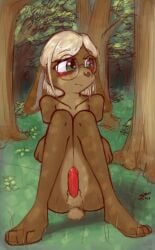 anthro balls blonde_hair blush brown_body brown_fur crossed_arms erection eyewear fur genitals girly glasses green_eyes hair hi_res lagomorph leporid male mammal nude outside penis presenting rabbit sitting solo vaithun