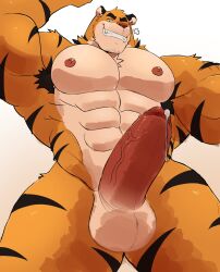 anthro balls bara barazoku big_balls big_penis boner erection felid feline furry huge_cock male male_only muscles muscular orange_fur penis solo solo_male striped_fur tiger vitashi