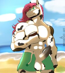 absurd_res anthro balls beach big_balls big_penis black_penis equid equine erection genitals green_campus_university green_eyes hair hi_res horse humanoid_genitalia male mammal mokamoshi muscular penis pink_hair professor_varrick_(mokamoshi) sea seaside smile solo solo_focus standing water watermark