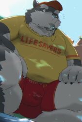 2023 3boys anthro belly big_belly bottomwear bulge canid canine canis clothing domestic_dog group hat headgear headwear hi_res kemono kisukemk777 lifesaver male male_only mammal outdoors overweight overweight_male shirt shorts solo_focus topwear