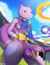 2023 anthro balls clothed clothing detailed_background erection felid feline generation_1_pokemon genitals hi_res humanoid_genitalia humanoid_penis impboyz legendary_pokemon looking_at_viewer male male_only mammal martial_arts_style_mewtwo mewtwo nintendo penis pokemon pokemon_(species) pokemon_unite solo standing white_body