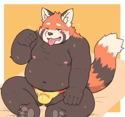 2023 ailurid anthro belly big_belly black_body bodily_fluids bulge clothing kemono kotadash mammal moobs navel nipples orange_body overweight overweight_male red_panda sitting solo_male sweat tongue tongue_out underwear