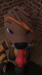 3d_(artwork) anthro arm_warmers armwear bedroom_eyes canid canine clothing digital_media_(artwork) duo erection genitals hair hair_over_eye harness hi_res highlights_(coloring) kneeling kneeling_on_ground kneeling_oral_position knot legwear looking_at_another looking_at_partner looking_at_viewer looking_up male male/male mammal mustelid narrowed_eyes oasis_(otter_oasis) one_eye_obstructed oral otter otter_oasis penis rendered seductive sucking thigh_highs