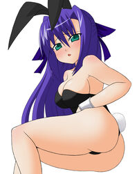 ass bare_legs bunny_ear bunny_girl bunnysuit cosplay ginga_nakajima kemonomimi leotard lyrical_nanoha mahou_shoujo_lyrical_nanoha mahou_shoujo_lyrical_nanoha_strikers sawa_(artist) sawa_(snack_yoshie) thong_leotard usamimi waribasi