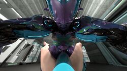 3d animal_genitalia_on_humanoid cock_pointing_towards_viewer futanari hildryn_(warframe) horsecock horsecock_futanari horsecock_on_humanoid penis_towards_viewer presenting_penis rochestedorm taker_pov warframe