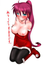 christmas lyrical_nanoha mahou_shoujo_lyrical_nanoha mahou_shoujo_lyrical_nanoha_a's minazuki_randoseru nipples pantyhose santa_costume signum translated