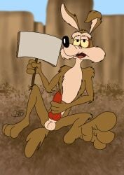 absurd_res animal_genitalia animal_penis anthro canid canine canine_genitalia canine_penis canis coyote genitals hi_res knot looney_tunes male mammal masturbation paws penis skinny solo solo_focus toony warner_brothers werewolf28081999 wile_e._coyote