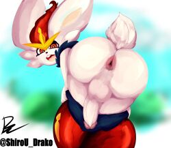 1boy absurd_res anthro anus artist_request ass cinderace cock-tail femboy furry generation_8_pokemon hi_res lagomorph leporid male male/male male_cinderace male_only mammal nintendo original pants_down pokemon pokemon_(species) presenting_anus rabbit schairodrak solo traced