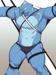 1boy anthro avian bird blue_body blue_feathers bondage briefs feathers male male_focus male_only muscular muscular_male pecs solo tied tos_tos_f_ski twitter underwear x_(social_media)