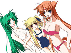 alph animal_ear animal_ears arf bikini blonde_hair blue_eyes breasts brown_hair cleavage facial_mark fate_testarossa forehead_mark fox_ear fox_ears green_hair lindy_harlaown long_hair lyrical_nanoha mahou_shoujo_lyrical_nanoha mizugi multiple_girls one-piece_swimsuit oppai red_eyes school_swimsuit sukumizu swimsuit tied_hair twintails very_long_hair yamaura_tamaki