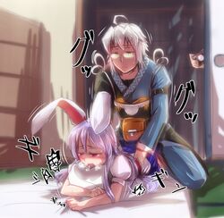 1boy animal_ears artist_request bunny_ears female glasses purple_hair reisen_udongein_inaba rinnosuke_morichika sex touhou