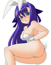 1girls ass bare_legs breasts bunny_ear bunny_girl bunnysuit cosplay ginga_nakajima green_eyes kemonomimi leotard lyrical_nanoha mahou_shoujo_lyrical_nanoha mahou_shoujo_lyrical_nanoha_strikers purple_hair sawa_(artist) sawa_(snack_yoshie) solo tail thong_leotard usamimi waribasi