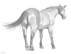 anatomically_correct anatomically_correct_anus anatomically_correct_genitalia anatomically_correct_pussy animal_genitalia animal_pussy anus ass digital_media_(artwork) digitoxici equid equine equine_anus equine_genitalia equine_pussy feral full-length_portrait genitals greyscale hi_res hooves horse looking_at_viewer mammal mane monochrome portrait pussy quadruped simple_background smile smiling_at_viewer standing