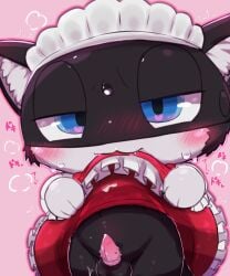 anthro badwingm feline maid_uniform male male_only morgana_(persona) penis persona_5 tagme video_game_character