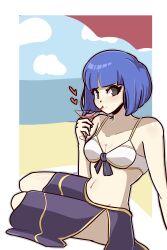 1girls alternate_costume bbdouble beach bikini blue_hair breasts cleavage drink drinking female female_only fire_emblem fire_emblem_echoes:_shadows_of_valentia glass grey_eyes looking_at_viewer nintendo ocean outdoors parasol short_hair silque_(fire_emblem) sitting small_breasts solo swimsuit umbrella