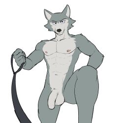 2023 abs anthro anthro_only areola athletic athletic_anthro athletic_male balls beastars canid canine canis fur genitals grey_body grey_fur hi_res humanoid_genitalia humanoid_penis jrjresq legoshi_(beastars) looking_at_viewer male male_only mammal nude penis simple_background solo wolf