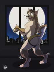 2022 anthro backlighting bodily_fluids brown_body brown_fur brown_hair canid canine city cityscape clothed clothing cum cum_in_clothing cum_in_underwear ejaculation erect_tail full_moon fur genital_fluids hair hands-free hi_res human jockstrap jockstrap_only light lighting male mammal mid_transformation moon mostly_nude night nipples open_mouth sky3 solo tenting topless transformation underwear underwear_only were werecanid werecanine werewolf wide_eyed window