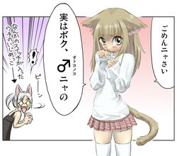 animal_ears cat_ears original skirt tail thighhighs trap you2 zettai_ryouiki