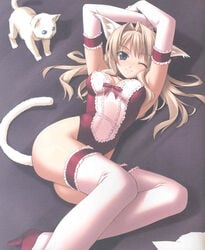 animal_ears cat_ears elbow_gloves feline gloves hashimoto_takashi high_res highres leotard tail thighhighs