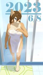 1girls 2023 after_shower big_breasts blue_eyes breasts brown_hair canine claws dated female female_only furry furry_only huge_breasts ice2g inner_ear_fluff pawpads paws tail towel wet wet_body wet_hair yellow_body yellow_fur yiff