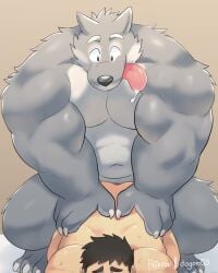 2boys abs anal anal_sex anthro anthro_penetrating anthro_penetrating_human ass back_muscles big_dom_small_sub big_muscles black_hair bodily_fluids canid canine canis character_request doggy_style dominant dominant_anthro dominant_male drooling duo erection from_behind_position fur gay gay_sex genitals grey_body grey_fur hair human human_on_anthro human_penetrated interspecies larger_anthro larger_male looking_pleasured male male/male male_penetrated male_penetrating male_penetrating_male mammal multicolored_body multicolored_fur muscular muscular_anthro muscular_male navel nude o-ro original original_character original_characters penetration penile penile_penetration penis penis_in_ass saliva sex signature size_difference smaller_human smaller_male smaller_penetrated submissive submissive_human submissive_male sweat tongue tongue_out white_body white_fur wolf