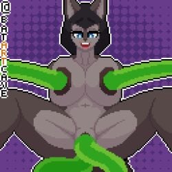ahe_gao anal anal_sex animated anthro batartcave big_breasts bodily_fluids breast_expansion breasts cum cum_in_ass cum_in_nipples cum_in_pussy cum_inflated_breasts cum_inside digital_media_(artwork) expansion female female_penetrated furry genital_fluids genitals gif inflation looking_pleasured mammal multiple_penetration nipple_fetish nipple_penetration nipple_play nipples penetration pixel_art pussy rodent sciurid sex tentacle tentacle_in_ass tentacle_in_nipple tentacle_in_pussy tentacle_penetration tentacle_sex tree_squirrel vaginal_penetration