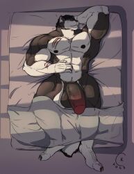 anthro bed canid canine canis capitankoki furniture genitals hi_res male male_only mammal muscular nipples penis sleeping solo tokitechie wolf