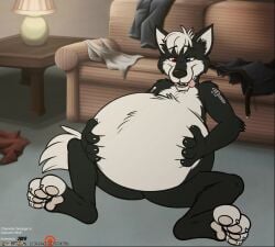 animated anthro bedroom belly belly_button belly_rub damachi_wolf different_angle furry furry_only mp4 rumbling_stomach scott_calico sloshing_belly sound tagme video vore vore_belly wolf