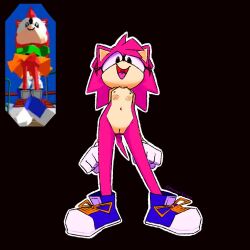 1girls amy_rose arms_behind_back breasts classic_amy_rose female furry monemi pink_fur shirt shoes shoes_only skirt small_breasts smile sonic_(series) sonic_the_fighters