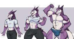 4_fingers abs andromorph anthro biceps bottomwear bulge clothing crop_top cuntboy curled_hair fingers fur growth growth_sequence hair hi_res intersex leander_dk_(artist) male_only maverick_(leander_dk) muscular muscular_anthro muscular_thighs pants pecs purple_body purple_fur purple_hair sergal shirt solo tail thick_thighs topwear torn_clothing wardrobe_malfunction white_body white_fur