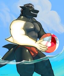 1boy absurd_res anthro ball beach beach_ball biceps bulge clothing cloud detailed_bulge dragon fish hair hi_res hybrid inflatable leander_dk leander_dk_(artist) looking_away male male_only marine muscular muscular_anthro muscular_arms muscular_male muscular_thighs partially_submerged pecs red_clothing seaside shark sky smile smirk solo speedo swimwear water